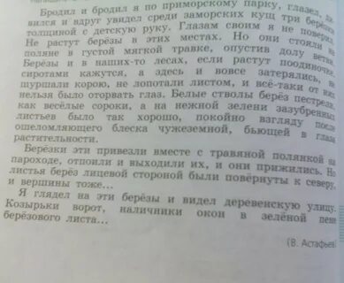 Бродил и бродил я по приморскому парку