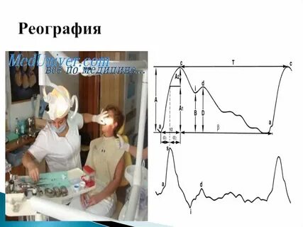 Метод реографии основан на