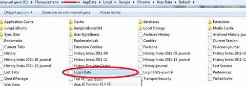 Appdata google chrome user data default