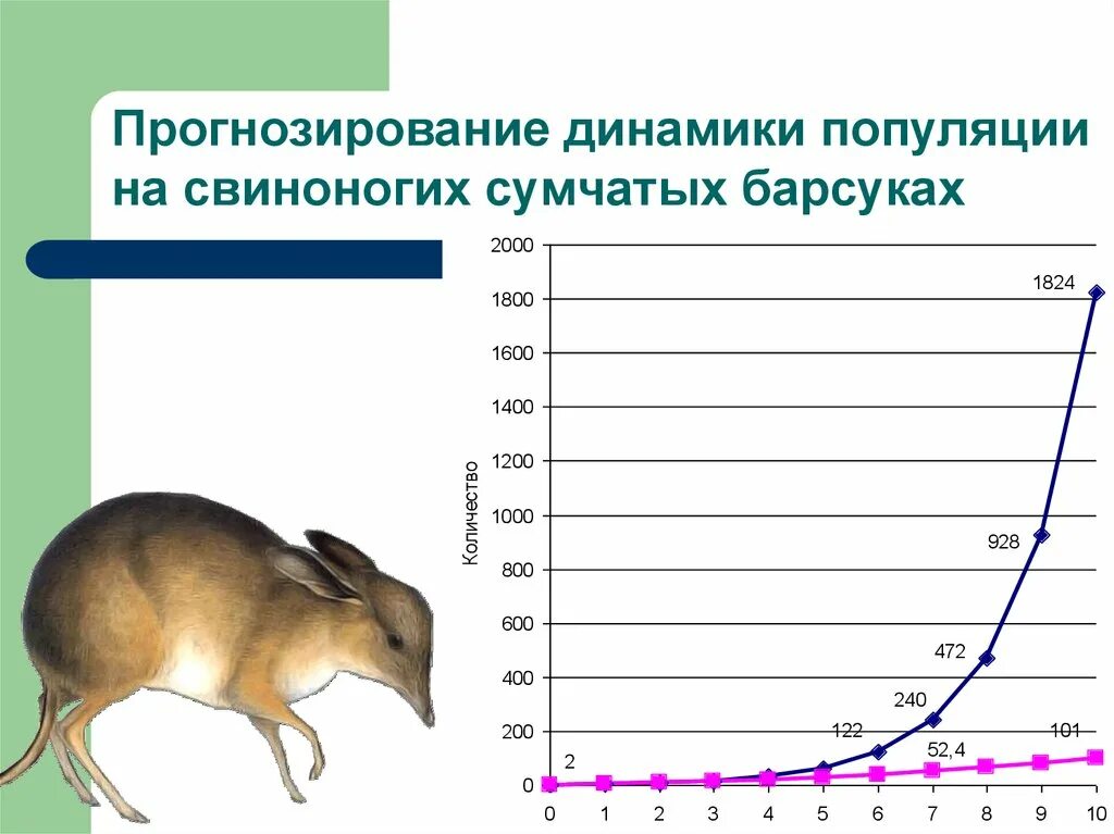 Динамика популяций график. Графики изменения численности популяций. Динамика численности популяции графики. Популяция животных.