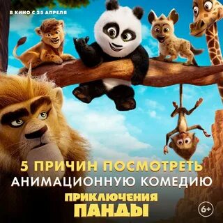 Приключения панды отзывы
