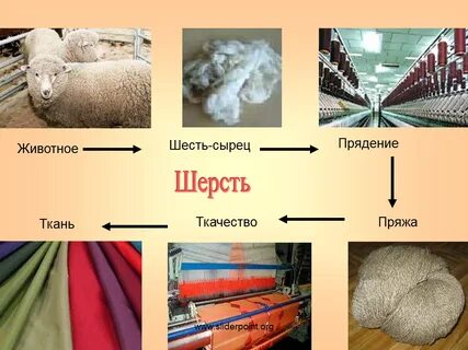 Волокна текстиля 4 буквы