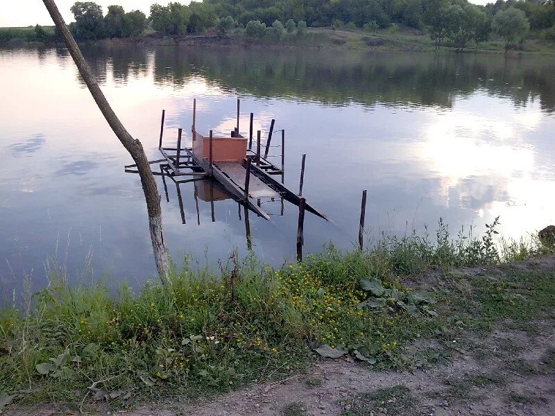 Покровское Курская область Мантуровский район. Бутырки Курская область. Село Покровское Курская область. Бутырки село Курская область. Большие бутырки мантуровский