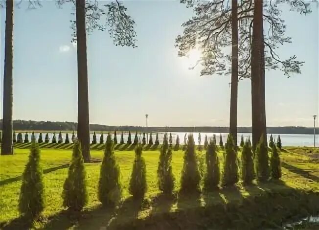 Рощинское городское поселение ленинградская область