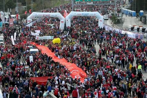 Go turkey