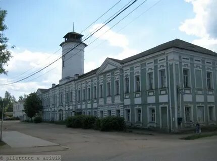 Волочек бологое