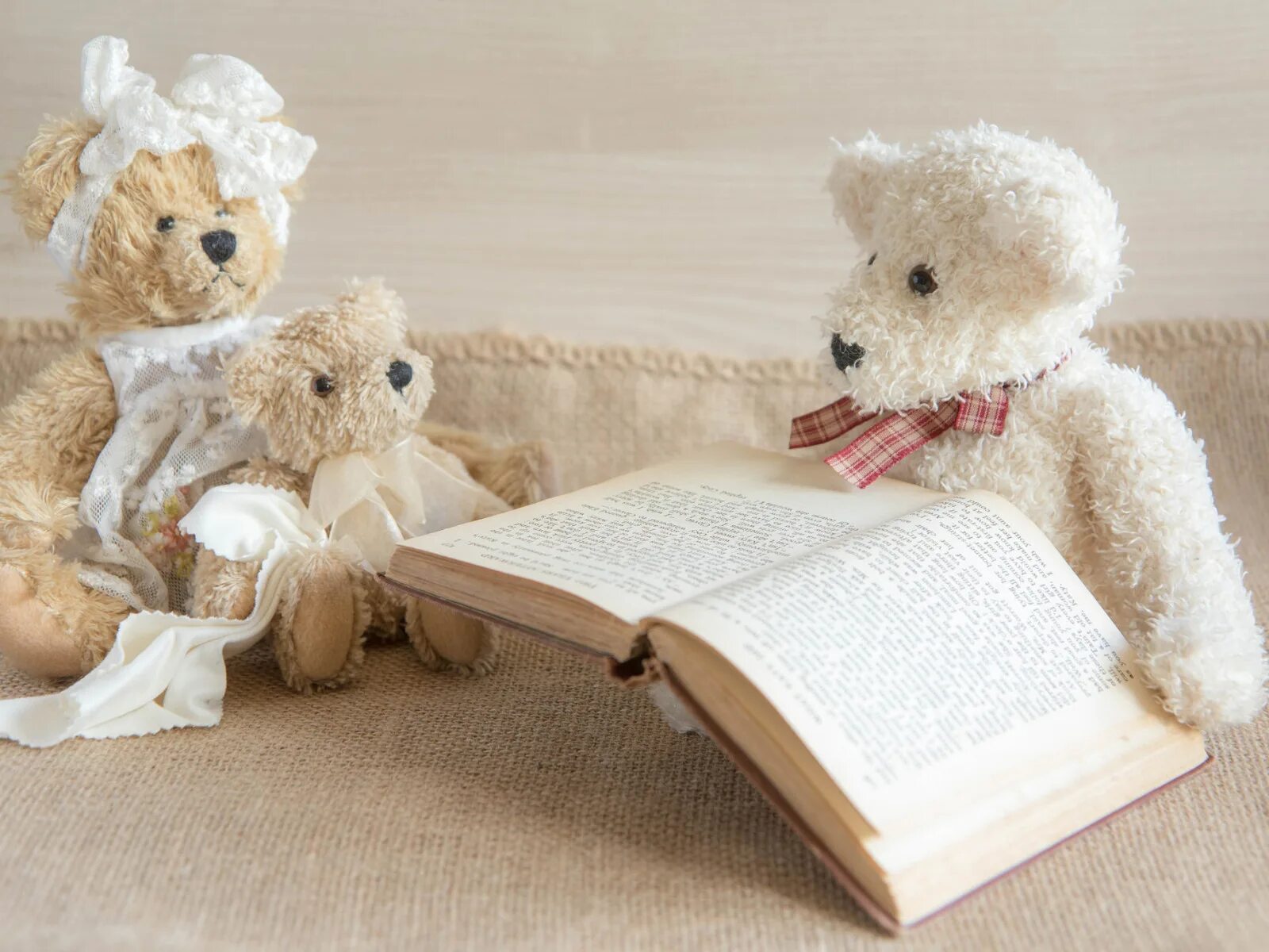 Плюшевая книга. Плюшевая книга. Мишка тедди с книжкой. Плюшевый мишка с книжкой. Медвежонок тедди книга.