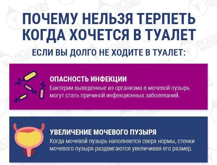 Почему девушка запрещает. Нельзя терпеть когда хочешь в туалет. Почему нельзя терпеть. Что будет если терпеть и не ходить в туалет. Почему нельзя терпеть когда хочешь в туалет по большому.