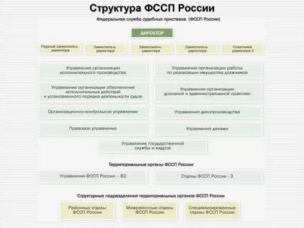 Компетенция центральных исполнительных органов