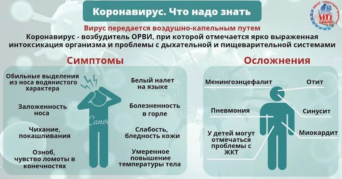 Врач коронавирус без симптомов. Что надо знать о коронавирусе. коронавирус что надо знать картинки. коронавирус что нужно знать. коронавирус что надо знать памятка.
