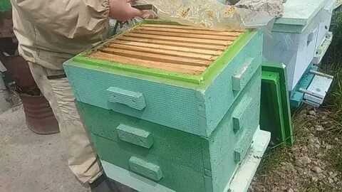 Ставлю ульи на