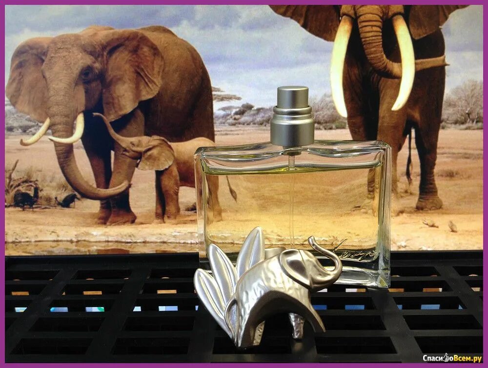 Kenzo Jungle l'Elephant Tester, 100 ml. Кензо со Слоником. Парфюмерная вода Kenzo Jungle l'Elephant. Кензо со слоном духи.