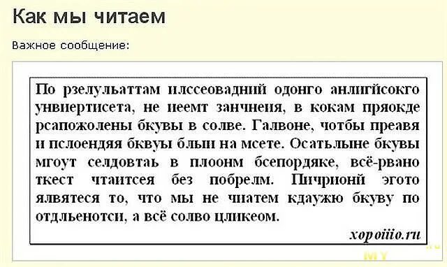 Как прочитать этот текст по русски. Человек читает только первую и последнюю букву. чтение первой и последней буквы. чтение текста по первой и последней букве. мы читаем только первую и последнюю букву.