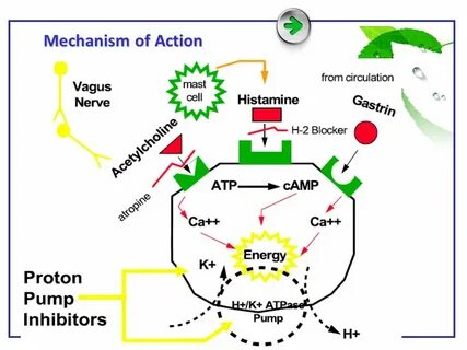 Mechanism of action