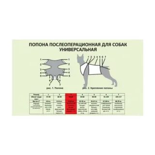 Как завязать попону собаке после операции