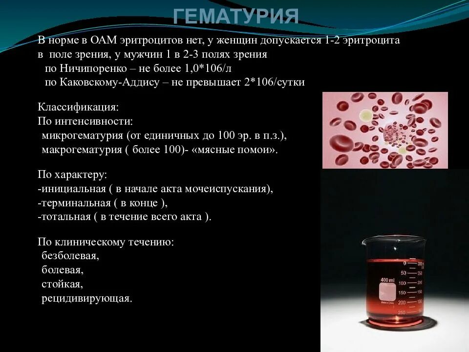 Эритроциты в моче 6 в поле зрения. Эритроциты в моче 6 в поле зрения