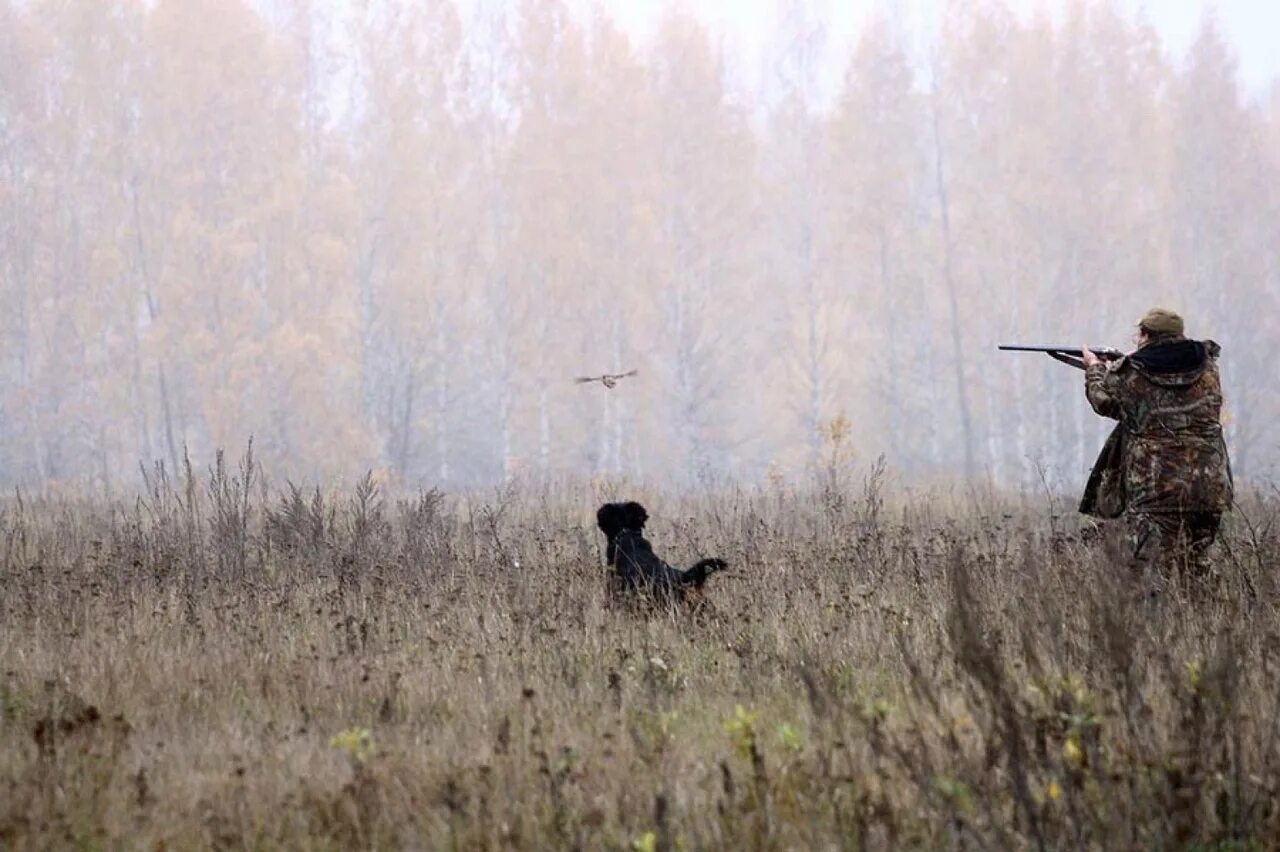 Песня че то че то охота. Охота в лесу. Охотник. Охотничьи угодья. Охота картинки.