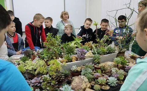 Ребенка липецкая область