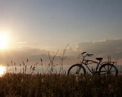 Остаток последних дней