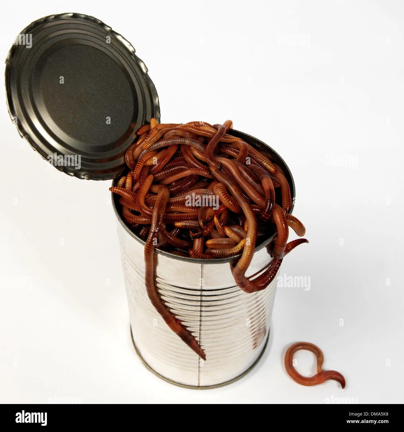 Can of worms