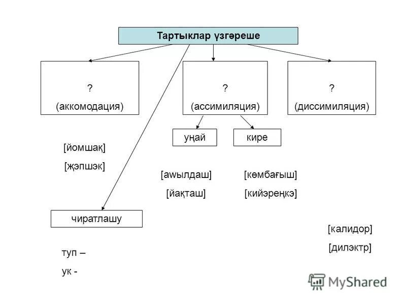 Ассимиляция и аккомодация. Аккомодация и ассимиляция в фонетике. Аккомодация ассимиляция диссимиляция. Ассимиляция диссимиляция аккомодация примеры. Ассимиляция диссимиляция аккомодация в русском языке.