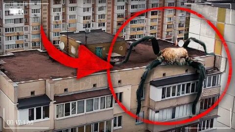 Видео лезь