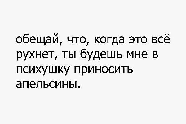 Кот гадит в цветочный горшок. Открытки пошли пожрем. Принеси мне их. Принеси мне их. Два котика с надписью.