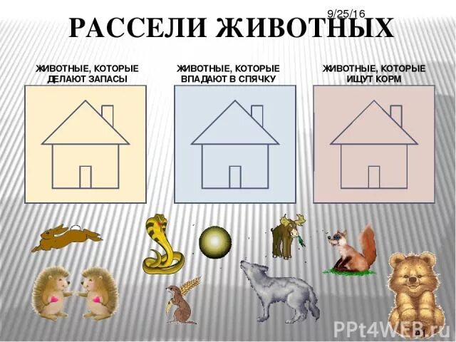 Рассели животных по домикам. Задание рассели животных по этажам. рассели животных по этажам леса. рассели домашних животных по домам.