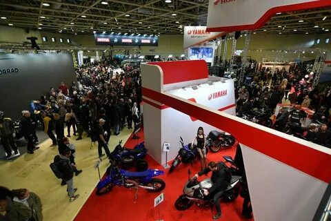 Выставка в экспоцентре в октябре 2024 года