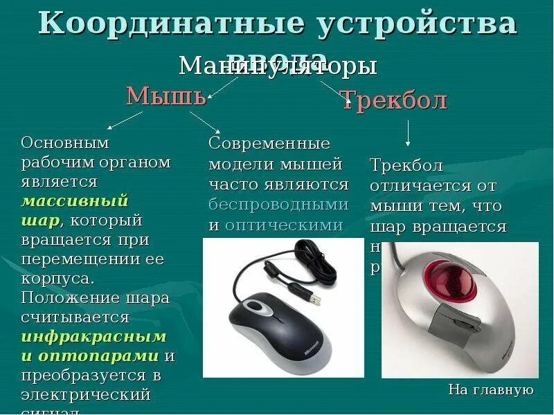 Устройством ввода текстовую информацию является. Манипуляторы устройства ввода. Координатные устройства ввода. Устройства ввода информации мышь. Устройство ввода информации манипуляторы это.