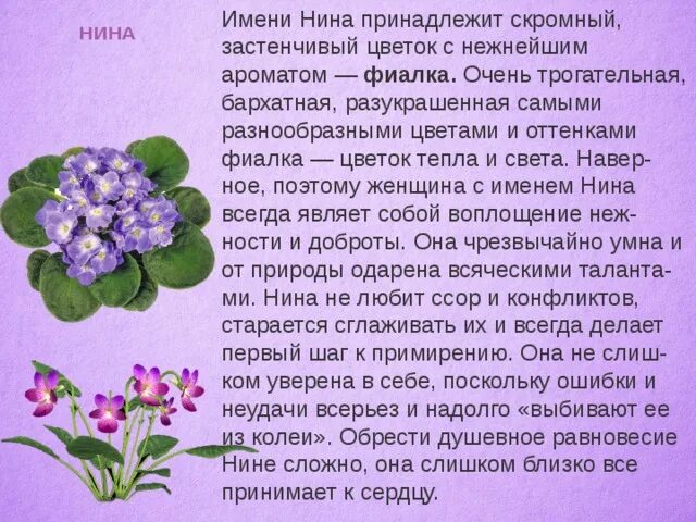 #Сорт_Дня@fialki_sp Химеры Натальи Булко (Ник-). Фото- интернет. 2019 Фиалки ВКо