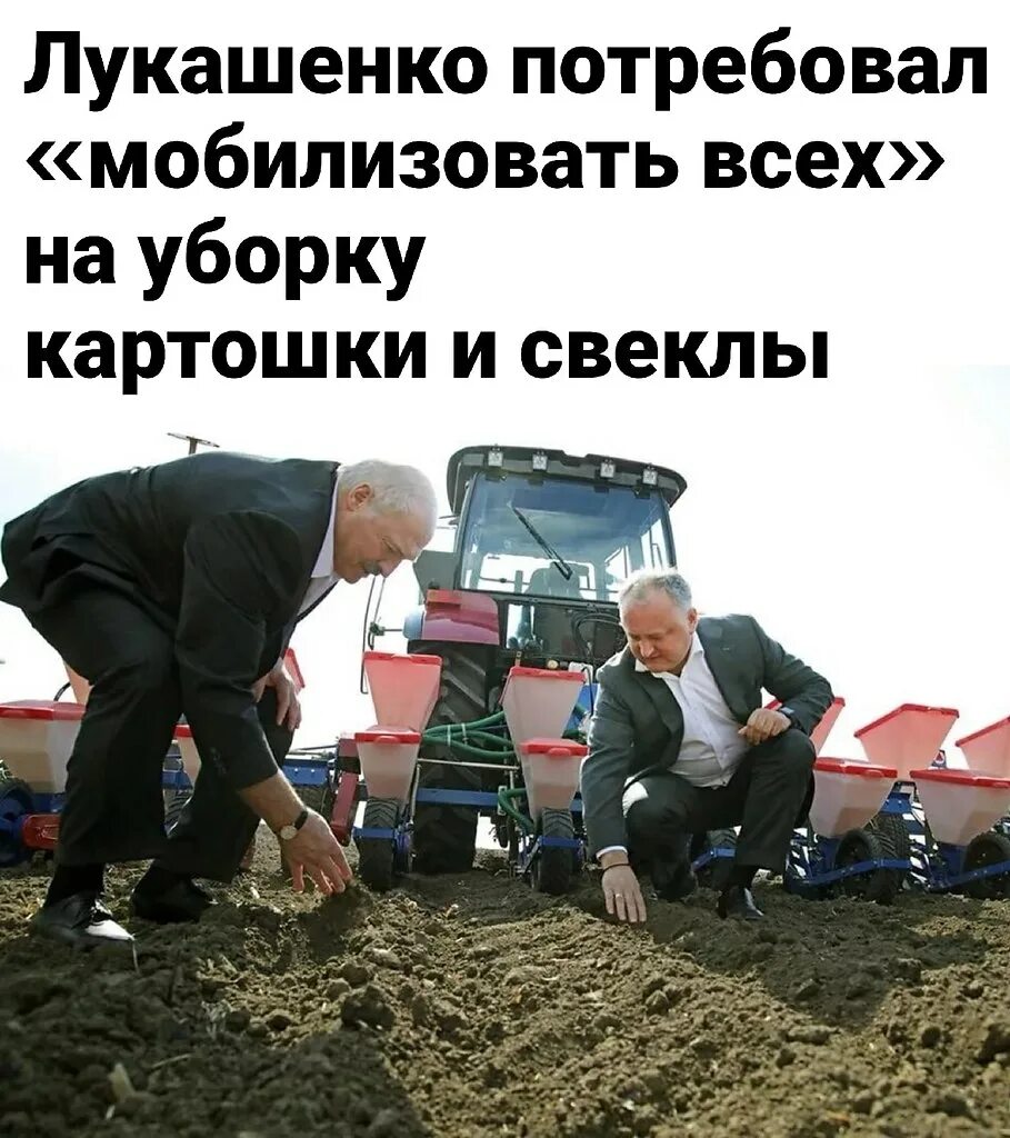 Лукашенко про корову. Лукашенко председатель колхоза. трактор беларусь лукашенко.
