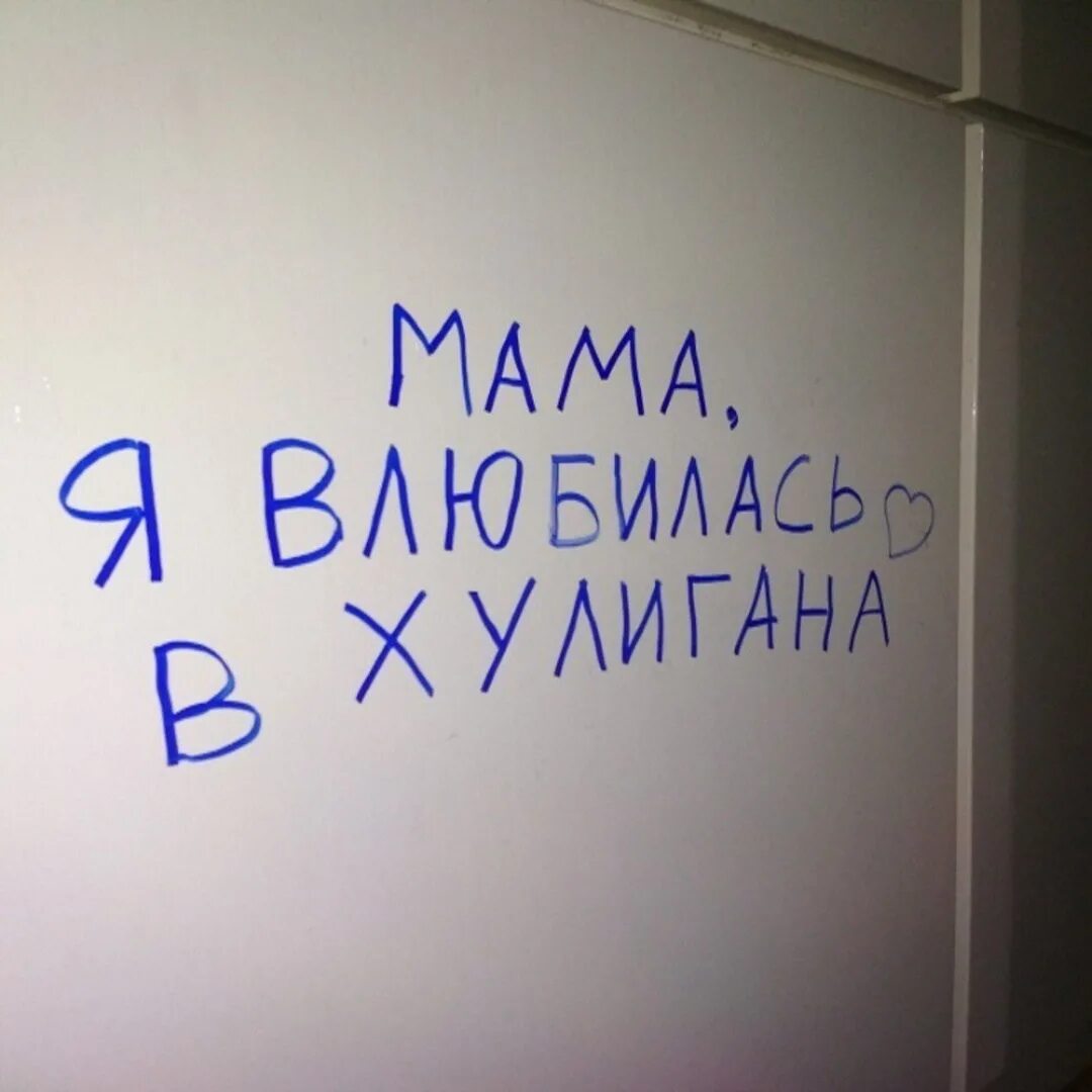 Тебя не сможет полюбить как этот хулиган. Влюбилась в хулигана. Слова хулигана. Мама я влюбилась в хулигана. Хулиганка цитаты.