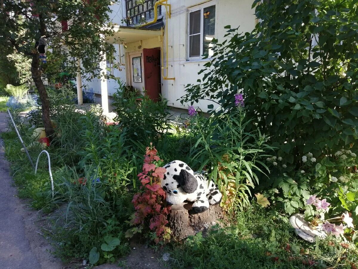 Палисадник в городе. Палисадник марк смирнов. красивый палисадник в подмосковье. подъездные палисадники. солнцево палисадник.