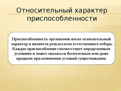 Относительность приспособлений