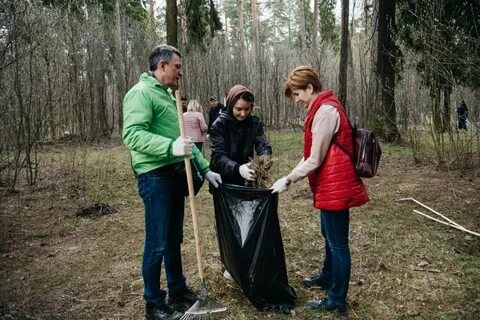 Кто победил в подмосковном пушкино