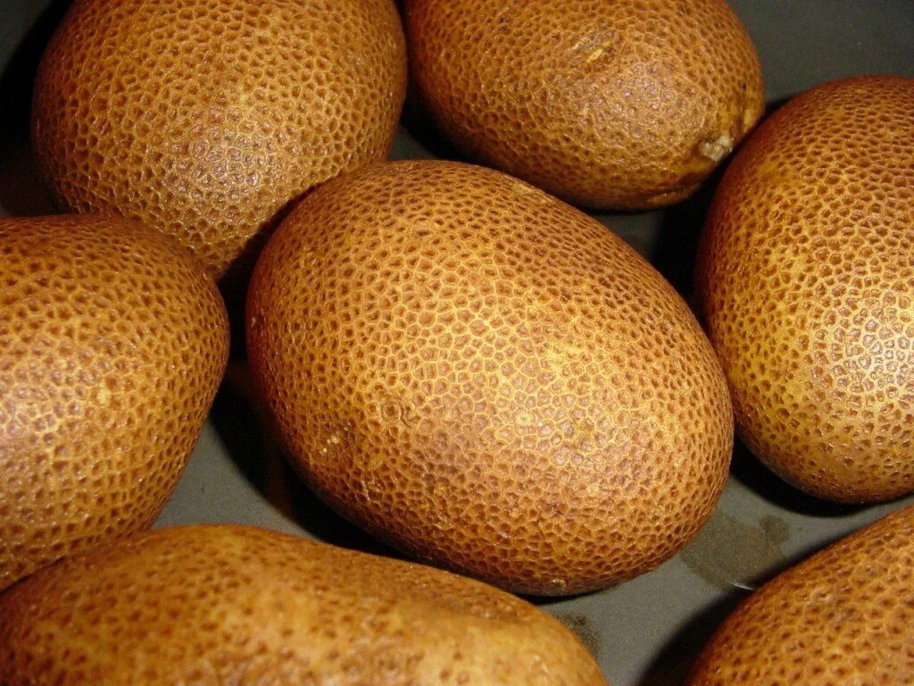 Картошка сорт киви. Картофель сорт киви. Картошка киви описание. Картошка киви описание. Картошка киви описание.