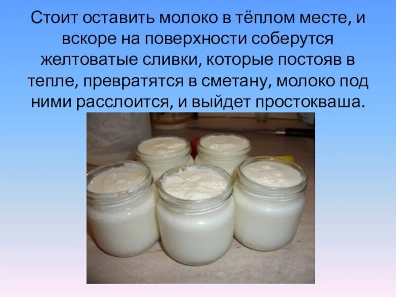 Как оно есть молоко. Молоко домашнее. технология приготовления блюд из кисломолочных продуктов. молоко в теплом месте. как образуются сливки.