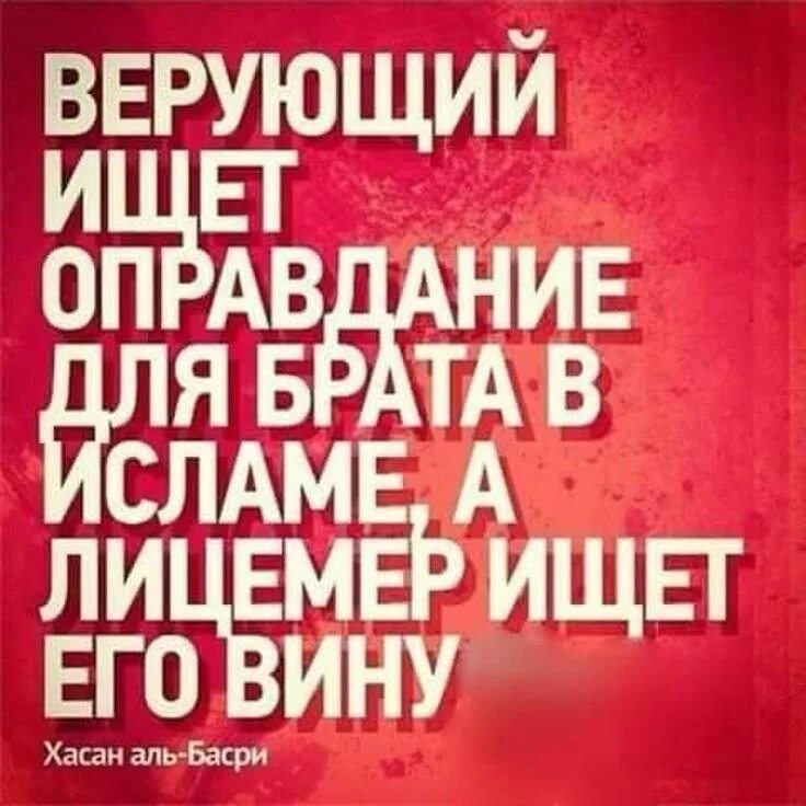 Как называют людей которые в исламе. Мусульманские хадисы. брат в исламе цитаты.