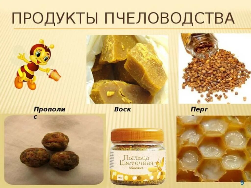 Мёд перга пыльца прополис. Перга пыльца прополис маточное молочко. Продукты пчеловодства прополис перга. Пыльца перга прополис.