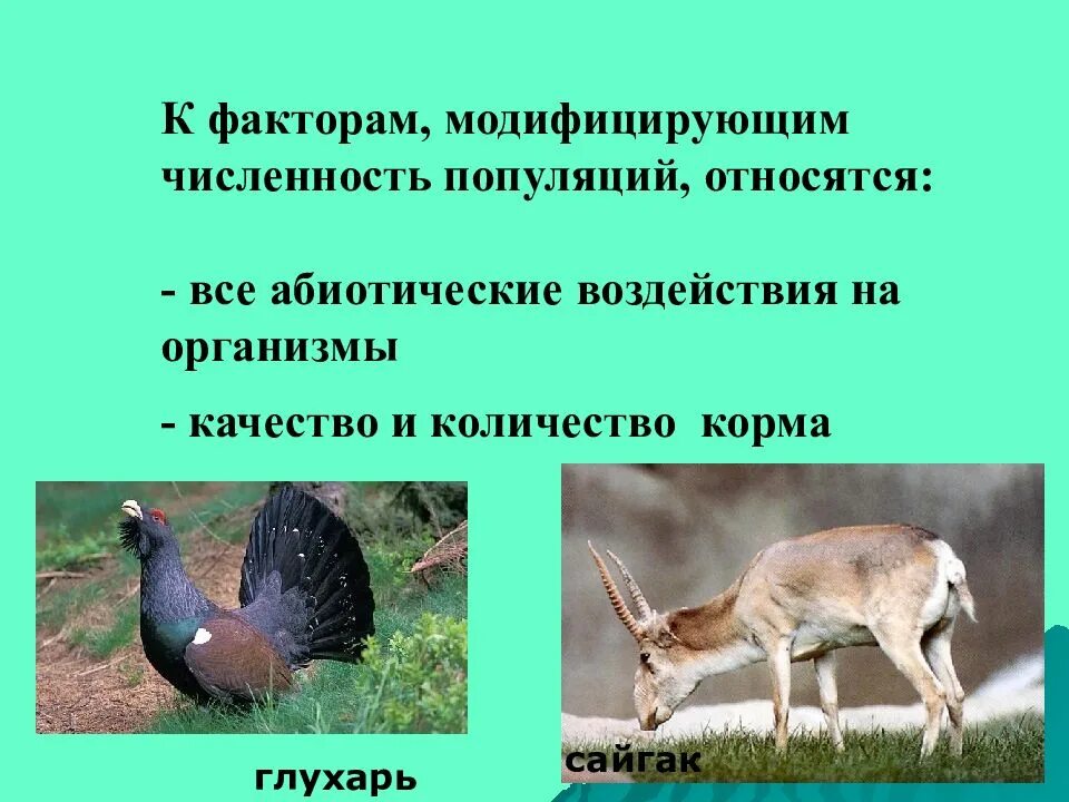Факторы влияния на популяцию. Модифицирующие факторы популяции. Регулирующие факторы популяции. Модифицирующие и регулирующие факторы. Модифицирующи численность популяции факторы.