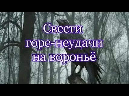 На горе на беду