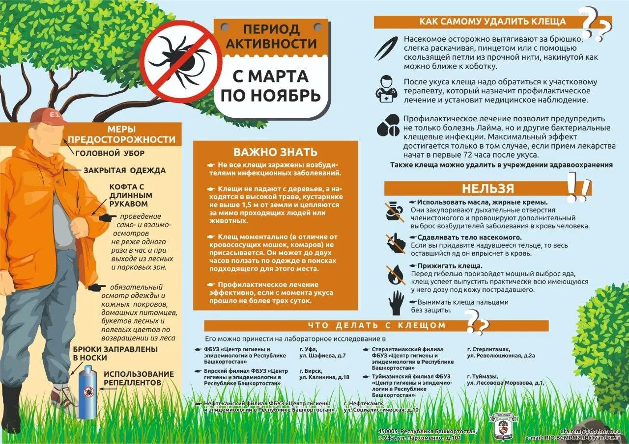 Профилактика от клещей. Клещи меры предосторожности. Меры предосторожности оттклещей. Памятка от клещей.
