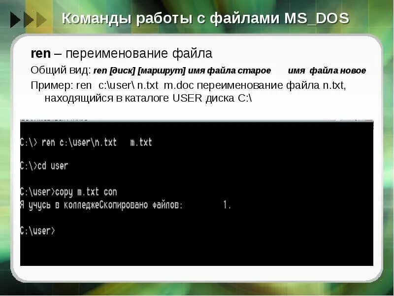 Txt ms. Команды для работы с файлами. Имена файлов MS dos. Переименование файлов. Команды для работы с файлами и каталогами.