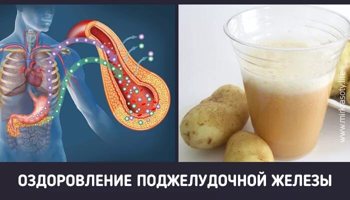 Лечение поджелудочную железу народным методом