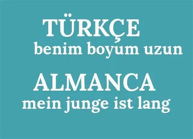 Ist lang