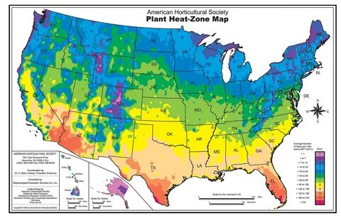 Plant zone