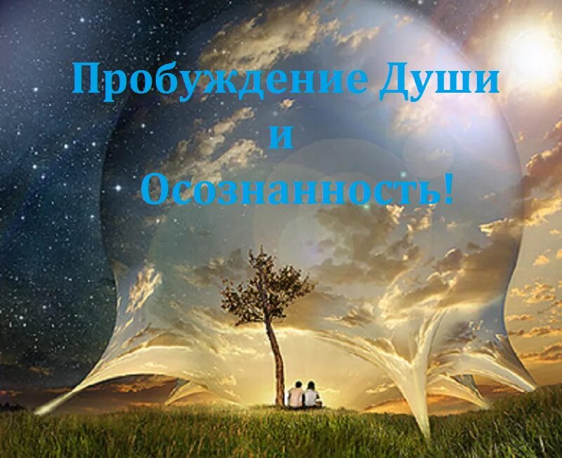 Душа природы. Природа реальности. Отражение жизни. Природа нашей реальности. Чудо пробуждение