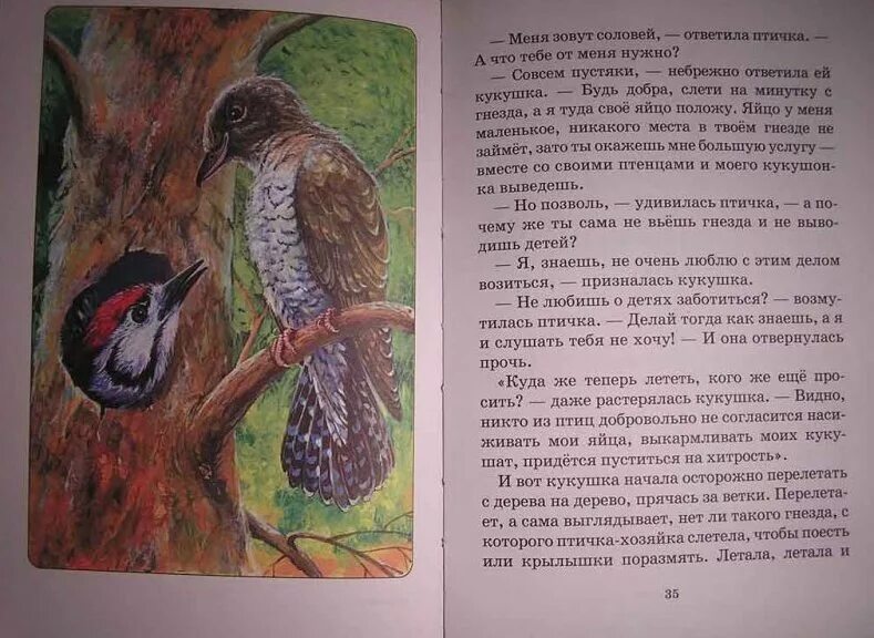 Скребицкий произведения 2 класс. Г Скребицкий сказки следопыта содержание. Скремнецкий сказка следопыта.