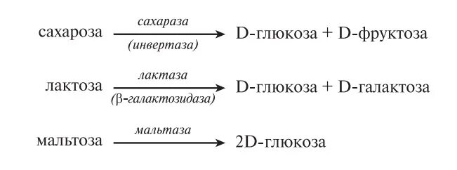 Расщепление крахмала. Превращение сахарозы в глюкозу реакция. К раствору содержащему сахарозу. Расщепление крахмала до Глюкозы. Крахмал расщепляется ферментом